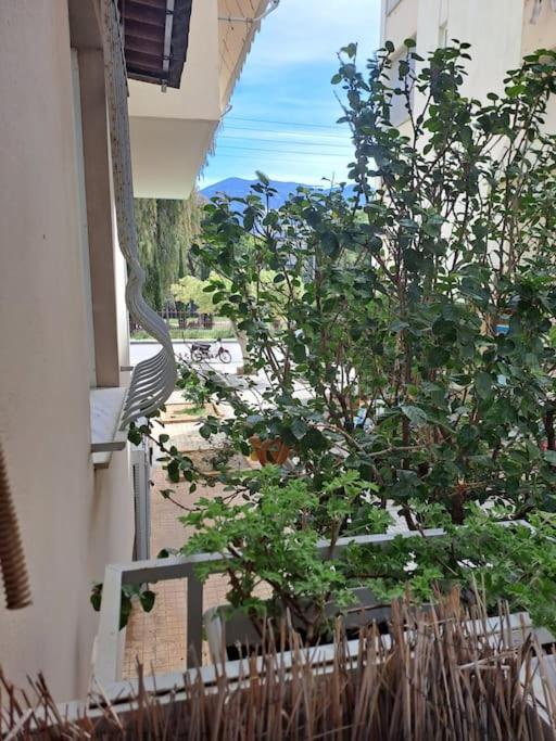 Δίπλα Στο Πάρκο Apartment Kalamata Ngoại thất bức ảnh